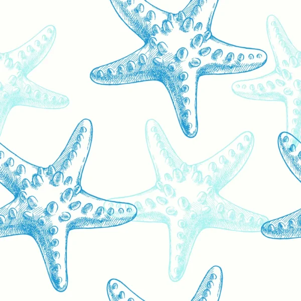 Estrelas do mar em azul claro sobre fundo branco para papel de parede