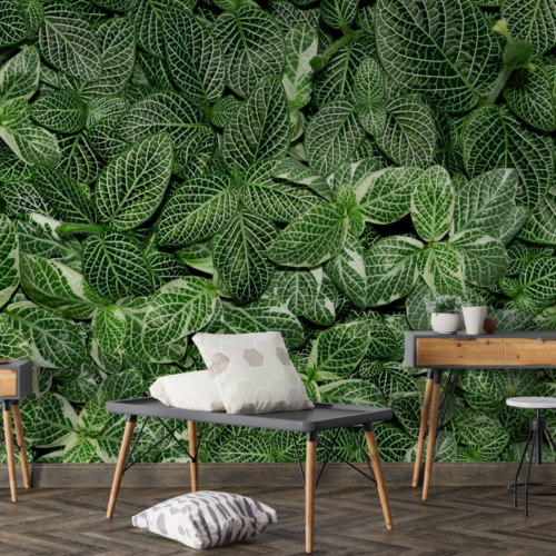 Papel de Parede Mural Folhagens Tropicais Lisas Adultos papel de parede mural folhagens papel de parede mural folhagens comprar papel de parede.png