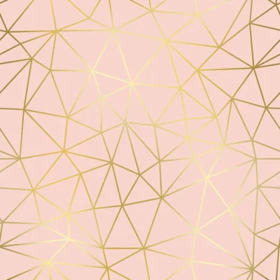 Papel de Parede Geométrico Zara Rosa Claro e Dourado